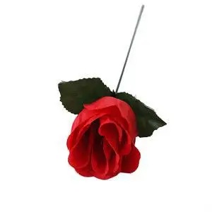Deglas Rose Mistinės Ugnies Magija Ugnies Magija Gudrybės Liepsna Pasirodo Gėlių Profesionalus Magas Baras Iliuzija Rekvizitai 104