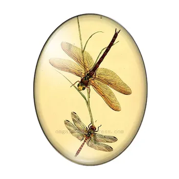 Derliaus Drugelis dragonfly bičių vabzdžių 10vnt 13x18mm/18x25mm/30x40mm Ovalo nuotrauką stiklo cabochon demo butas atgal Padaryti išvadas 64258