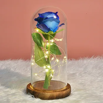 Dirbtinės Gėlės Amžinai Rose LED Šviesos Grožį Žvėrys Stiklo Dangtis Namų Dekoro Motinos Diena Dovanos, Valentino Dienos Dovanos 24722