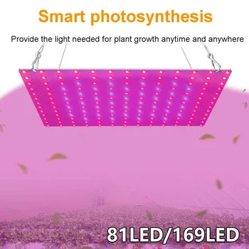 LED Grow Light Valdybos 2000W 3000W Led Augalų Lemputės Visą Spektrą Fito Lempos Šiltnamiuose Patalpų Palapinė Phytolamp JAV, ES, UK Plug
