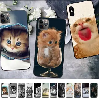 MaiYaCa Juokingas Kačiukas Katė Telefono dėklas skirtas iPhone 11 12 pro XS MAX 8 7 6 6S Plus X 5S SE 2020 XR dangtis 11971