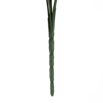 Realus Petražolių žalių Lapų Krūva Vazoninių Gėlių Dekoras Ornamentas 