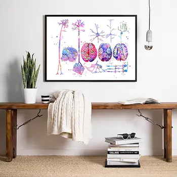 Sienos menas modulinės smegenų nuotrauką drobė nervų sistemos, namų puošybai anatomijos plakatas neuronų kambarį frameless tapyba 97787