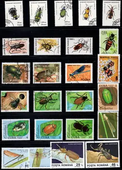 50Pcs/Daug Klaidų Vabzdžių Antspaudas Tema Visi Skirtingi Iš įvairių Šalių, NE Kartoti Pašto ženklai su Pašto Ženklą, skirtą Rinkti
