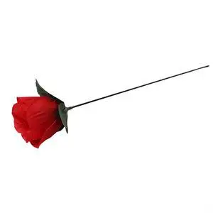 Deglas Rose Mistinės Ugnies Magija Ugnies Magija Gudrybės Liepsna Pasirodo Gėlių Profesionalus Magas Baras Iliuzija Rekvizitai