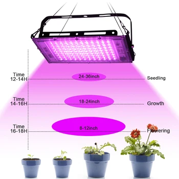 LED Grow Light 220V 100W 50W LED Full spectrum Fito Lempa Augalų Sėklos Hydroponics Šiltnamio efektą sukeliančių Namų Augalų Augimo Phytolamp