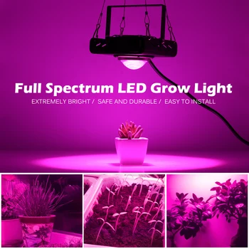 500W COB LED Grow Light 220V Visą Spektrą Su Aušinimo ventiliatorius Hydroponic Šiltnamio efektą sukeliančių Augalų Augimo Apšvietimas