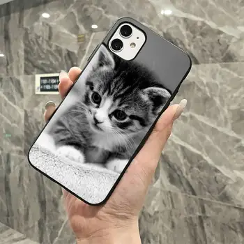 MaiYaCa Juokingas Kačiukas Katė Telefono dėklas skirtas iPhone 11 12 pro XS MAX 8 7 6 6S Plus X 5S SE 2020 XR dangtis