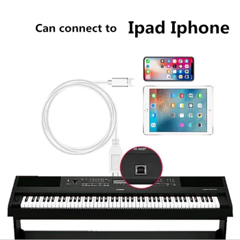 100vnt USB Duomenų Kabeliu žaibo MIDI Jungtis, USB Duomenų MIDI OTG Kabelis Spausdintuvui Standžiojo Disko Elektrinis pianinas laidas iphone