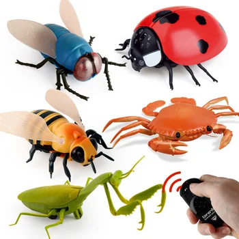 Modeliavimas Gyvūnų Modelio Keista, Modeliavimo Spindulių Nuotolinio Valdymo Vabzdžių Skristi Bičių Biedronka Krabų Mantis Apgauti Žaislas