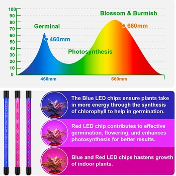 Visą Spektrą Phytolamps LED Grow Light Laikmatis su DC5V USB 10W 20W 30W 40W Darbalaukio Įrašą Fito Žibintus, Augalai, Gėlės Auga Lange