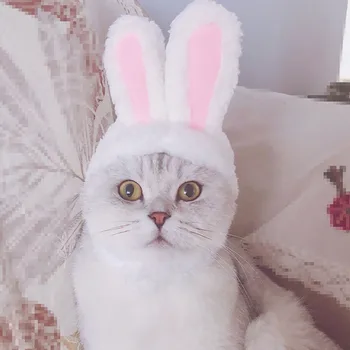 2021top Šuo Pet Bunny Rabbit Ears Kačių Maži Šunys Kačiukas Šalis, товары для дома