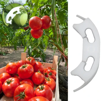 Daržovės, Pomidorai Tvirtinimo Įrašai būtų Išvengta Lenkimo Paramos Apkabos, Vaisių, Gėlių Žaliųjų Augalų Daigų Armavimo Įrašus