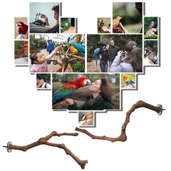 Vynuogių Medienos Polių Paukščių Nuolatinis Stick Pet Papūga Laktos Bite Letena Šlifavimo Žaislas Paukščiui Narvo Stalo Reikmenys/ne Fork