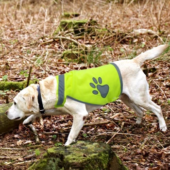 Didelio Matomumo Pet Drabužiai, Žalia Saugos Naktį Šunį Vest Naudotis Atspindintys Kostiumai Reguliuojamas Dirželis Lauko Žygiai Pėsčiomis