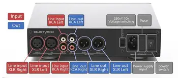 GUSTARD H16 Ausinių Stiprintuvo Didelės Raiškos OLED Ekranas XLR/RCA Subalansuotą Ikimokyklinio Stiprintuvas
