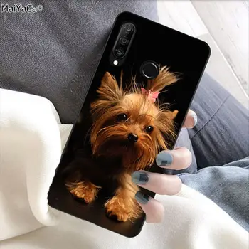 MaiYaCa jorkšyro terjeras šuo šuniukas Gražus Telefono dėklas, skirtas 