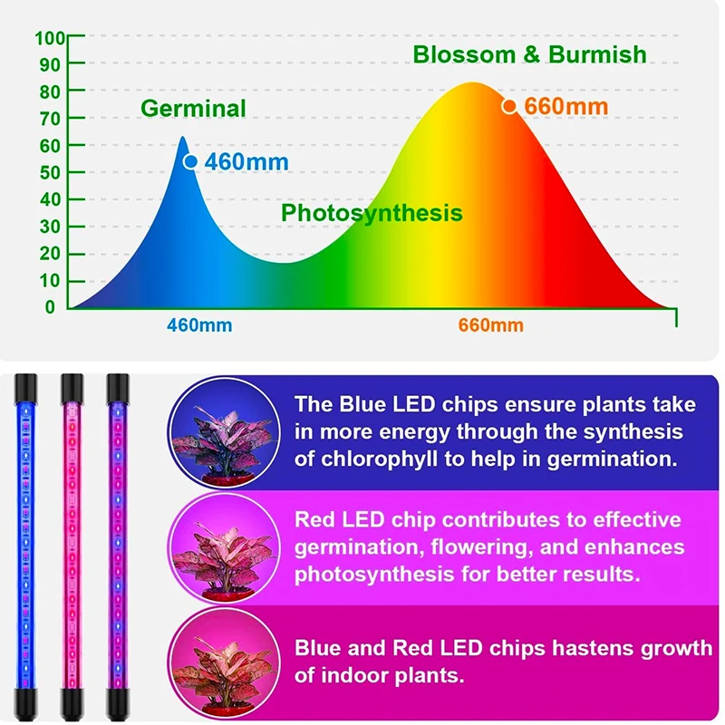 Visą Spektrą Phytolamps LED Grow Light Laikmatis su DC5V USB 10W 20W 30W 40W Darbalaukio Įrašą Fito Žibintus, Augalai, Gėlės Auga Lange 3
