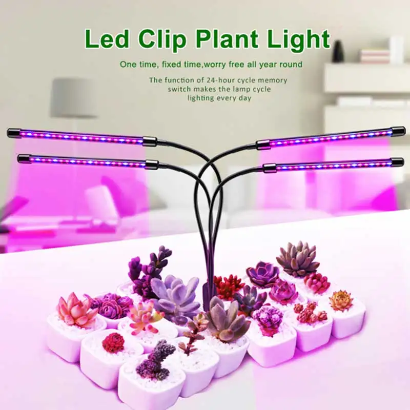 Visą Spektrą Phytolamps LED Grow Light Laikmatis su DC5V USB 10W 20W 30W 40W Darbalaukio Įrašą Fito Žibintus, Augalai, Gėlės Auga Lange 5
