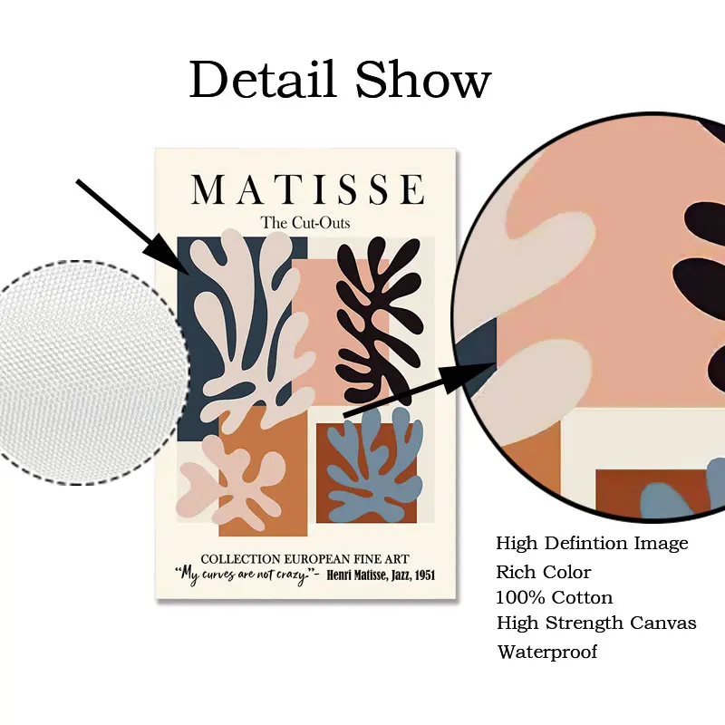Šiaurės Stiliaus Abstraktus Matisse Plakatai Linijose Susiduria su Sienos Menas Spausdinti Paveikslai Tapyba Gėlių Sienos Menas Nuotraukas Kambarį Dekoro 3