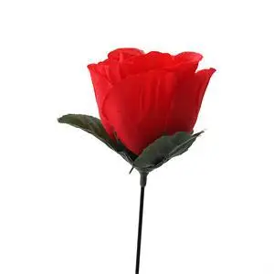 Deglas Rose Mistinės Ugnies Magija Ugnies Magija Gudrybės Liepsna Pasirodo Gėlių Profesionalus Magas Baras Iliuzija Rekvizitai 2
