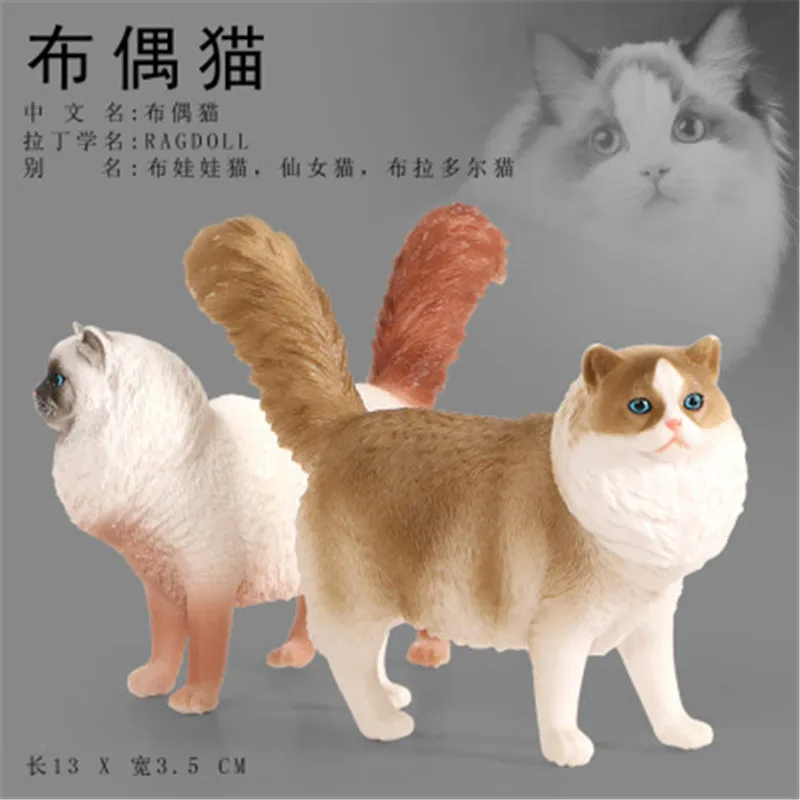 Naujas Modeliavimo Laukinių Gyvūnų Modelio, Žaislų Rinkinys Balta Naminių Kačių Paukščių, Oranžinė Katė Veiksmų Skaičius, Pažinimo Švietimo Žaislas Vaikų 2