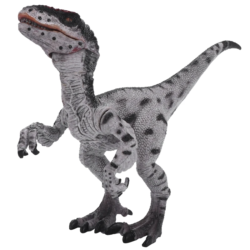Juros Periodo Velociraptor Dinozaurų Veiksmo Ir Žaislas Duomenys Gyvūnų Modelio Surinkimo Mokymosi Ir Švietimo Vaikai Gimtadienio Dovana Berniukas 5