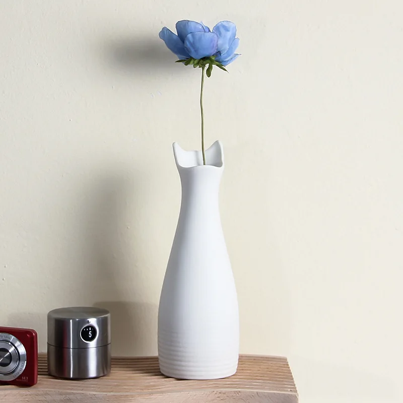 Kūrybos Paprasta Keramikos Vaza Ins Namų Kambarį Apdaila Juoda Balta Spalva Cute Kačių Ausų Dired Gėlių Vazos 5