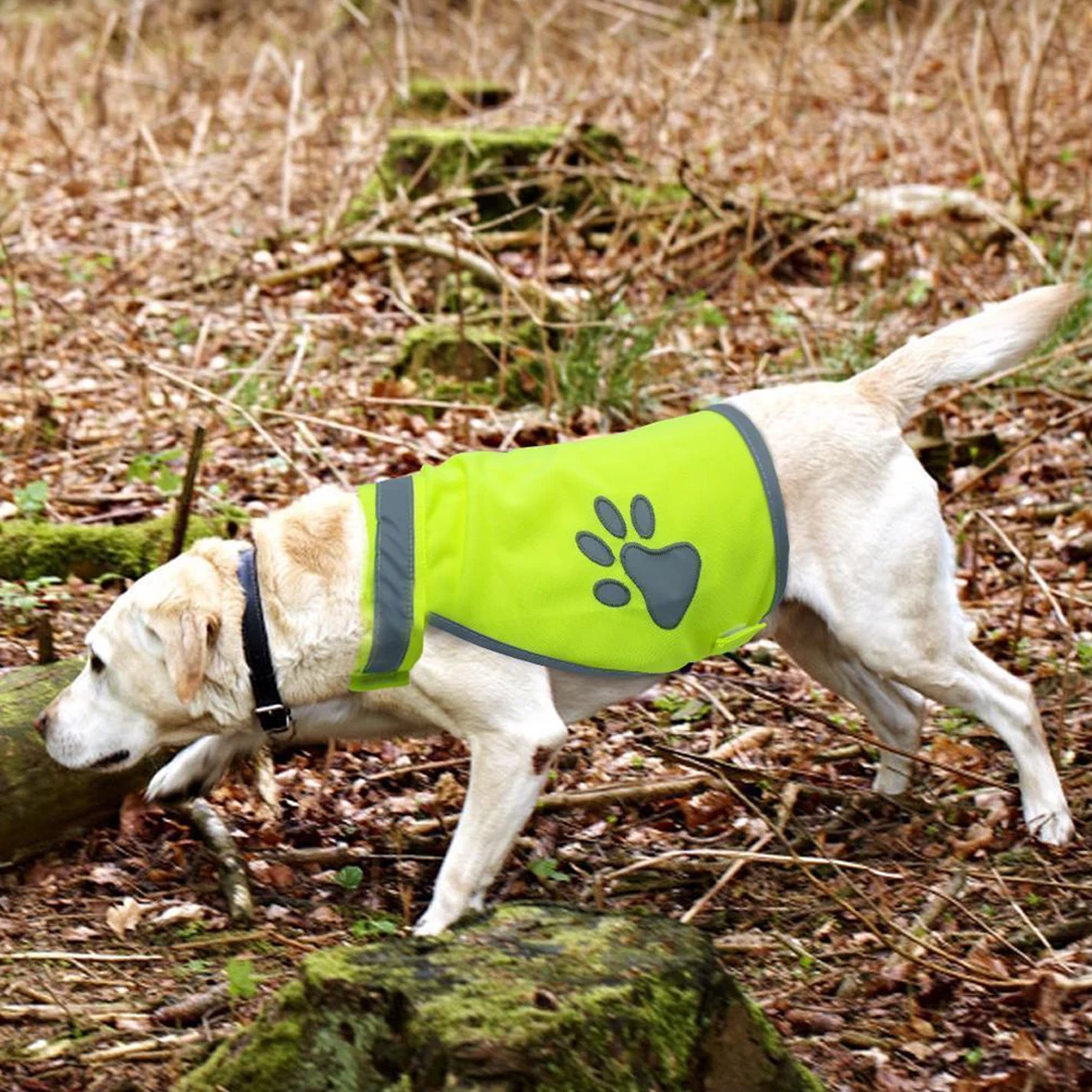 Didelio Matomumo Pet Drabužiai, Žalia Saugos Naktį Šunį Vest Naudotis Atspindintys Kostiumai Reguliuojamas Dirželis Lauko Žygiai Pėsčiomis 5