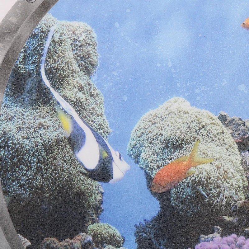 Pagal Jūros Pasaulis Spalvingų Koralų Žuvis, Povandeninis laivas Liukai Sienų Lipdukai Kambario Dekoro 