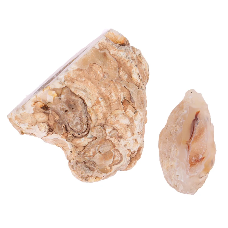 1Pcs Natūralus Agatas Geode Kristalai, Akmenys Amatų Kolekcija Pakabukas Papuošalai Priėmimo 3