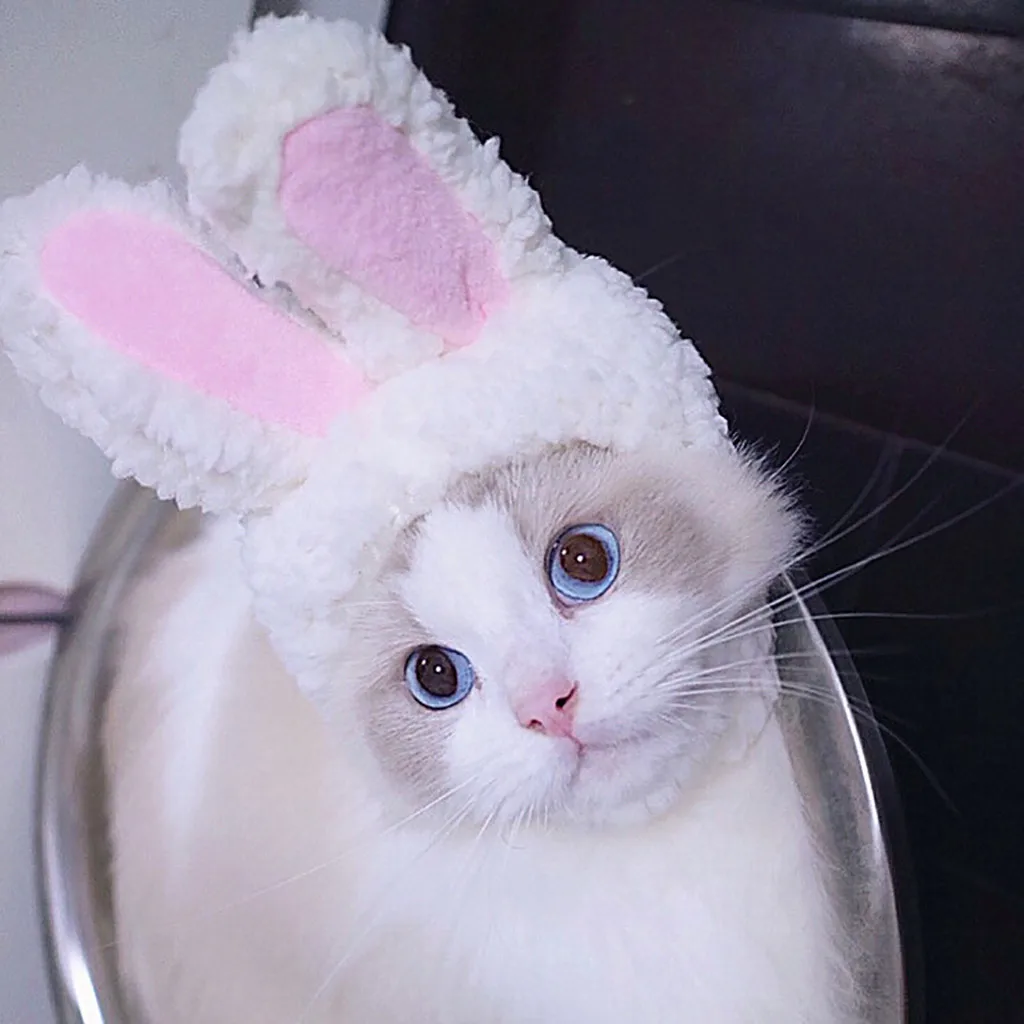 2021top Šuo Pet Bunny Rabbit Ears Kačių Maži Šunys Kačiukas Šalis, товары для дома 1