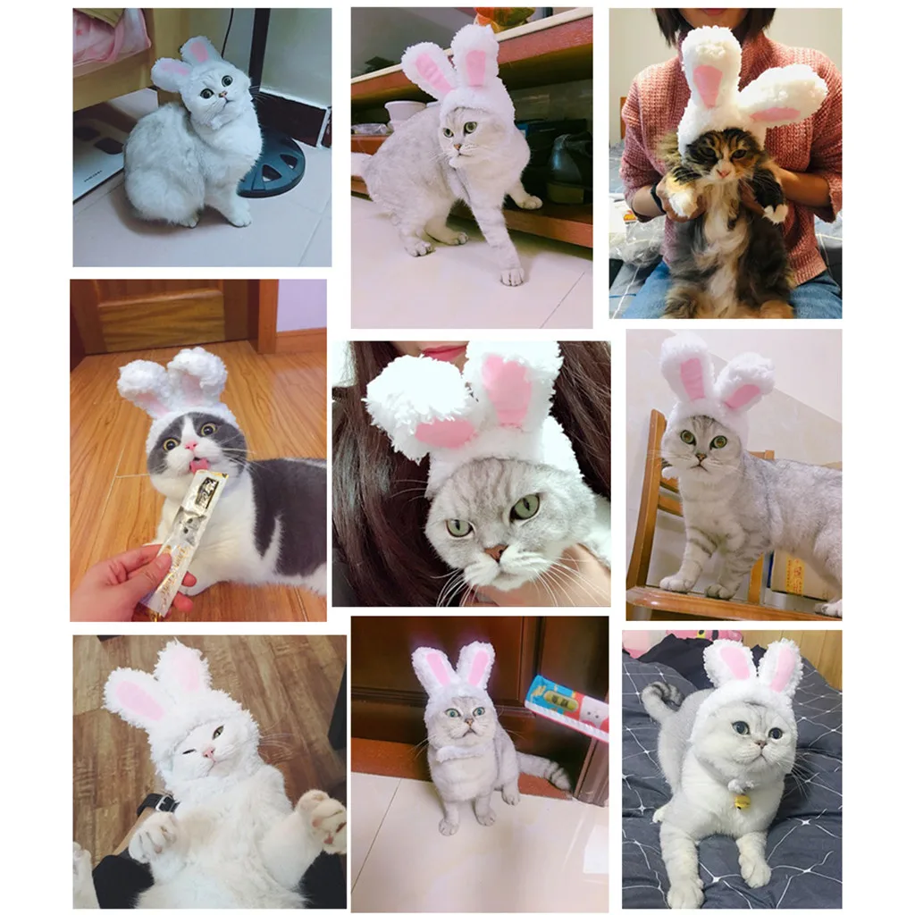 2021top Šuo Pet Bunny Rabbit Ears Kačių Maži Šunys Kačiukas Šalis, товары для дома 3