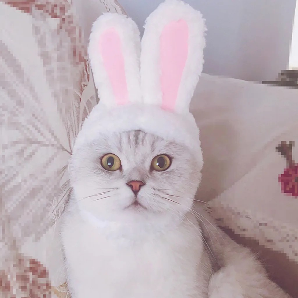 2021top Šuo Pet Bunny Rabbit Ears Kačių Maži Šunys Kačiukas Šalis, товары для дома 4