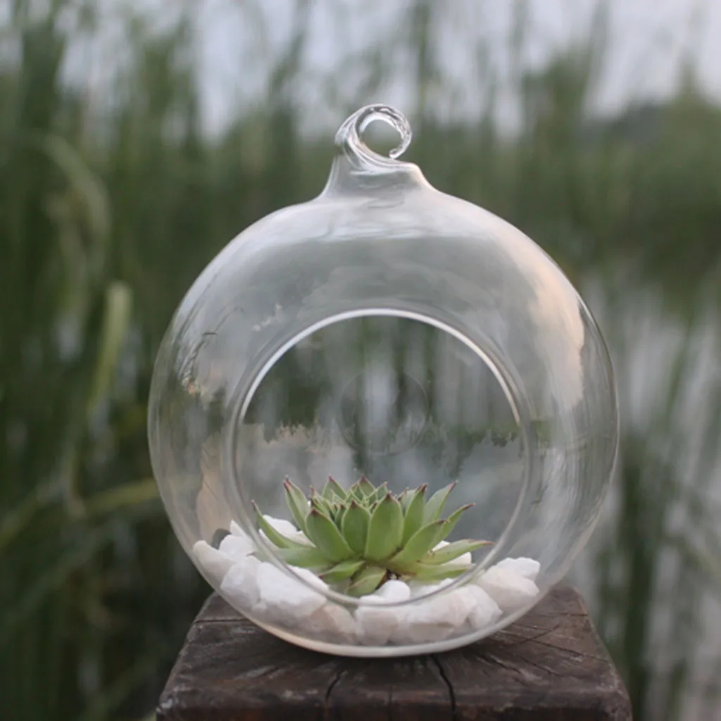 Vaza, Stiklo vaza, stiklo kabo kabo butelis succulents vaza moss butelis micro kraštovaizdžio ekologinę butelis florero sodo C50 5