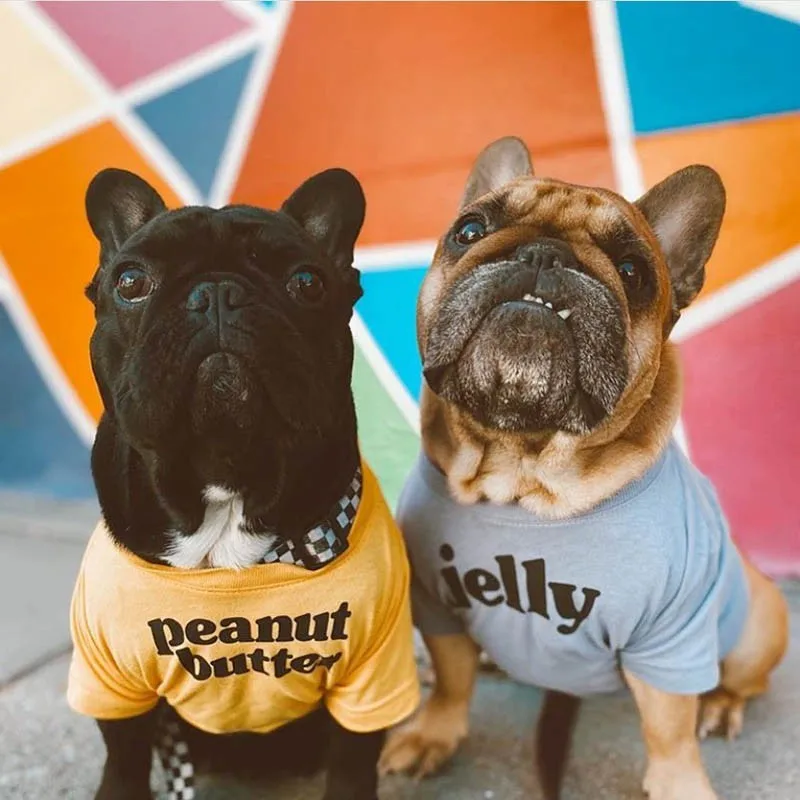 Šunelis T-shirt Vasaros Minkštas Laišką Šunų Drabužius prancūzų Buldogas Chihuahau Pet Drabužiai Suteikiama Šuniukas, Mažos ir Vidutinės Šunys Ropa 2