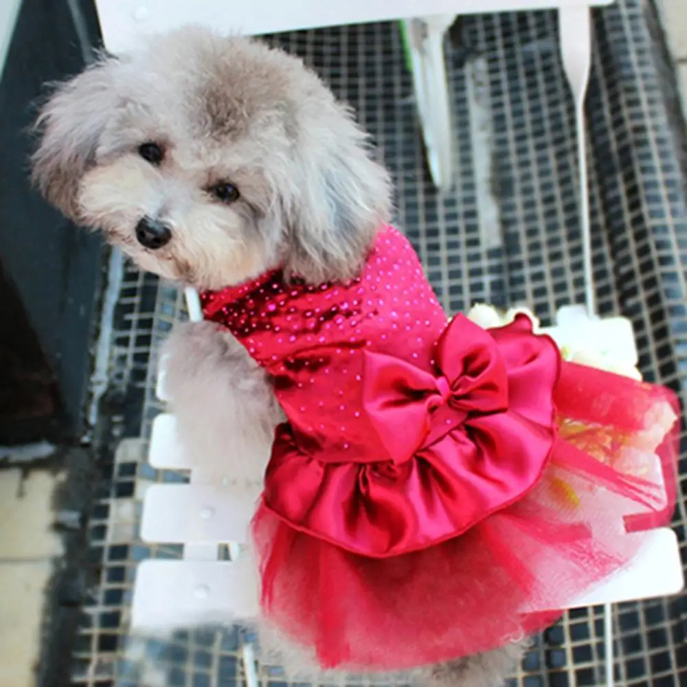 Prabanga Princesė Vestuvių Šuo Suknelės Maži Šunys China Marškinėliai Vasarą, Pavasarį Suknelė Šunų Drabužius Čihuahua kalytė Šuniukų Drabužiai 0