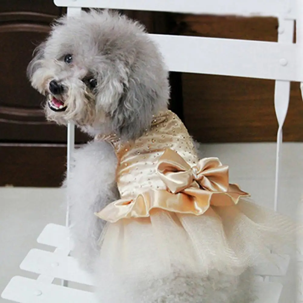 Prabanga Princesė Vestuvių Šuo Suknelės Maži Šunys China Marškinėliai Vasarą, Pavasarį Suknelė Šunų Drabužius Čihuahua kalytė Šuniukų Drabužiai 4