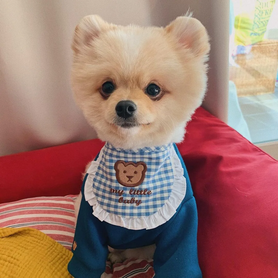 Korėjos mielas raudonos ir mėlynos spalvos pledas lokys siuvinėjimo šuo kombinezonai su antkrūtiniais pet kombinezonai su antkrūtiniais seilių rankšluostį Bichon 