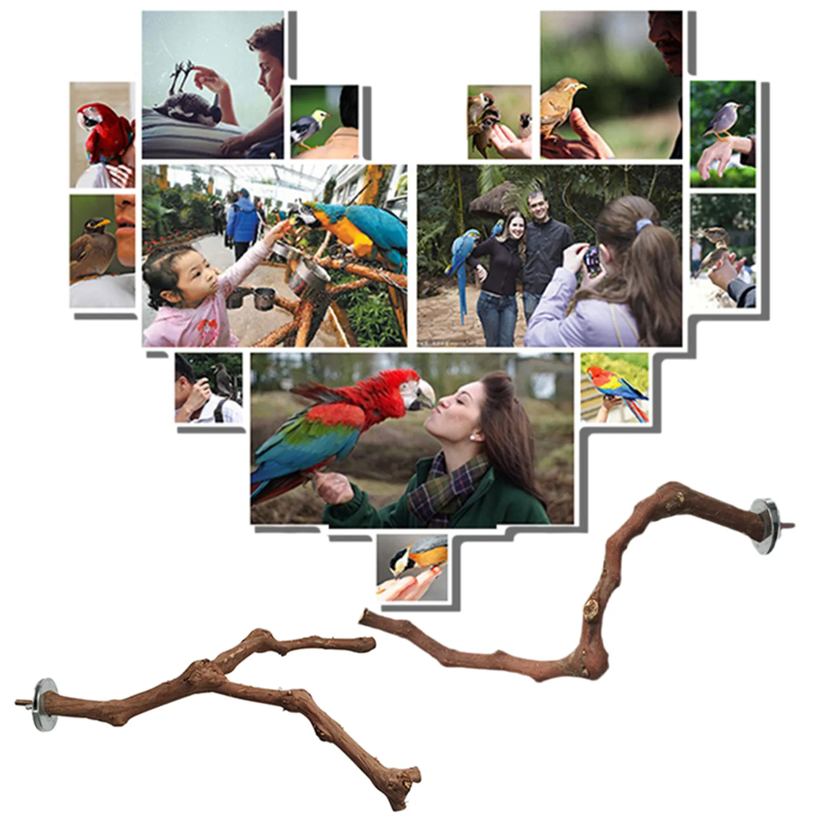 Vynuogių Medienos Polių Paukščių Nuolatinis Stick Pet Papūga Laktos Bite Letena Šlifavimo Žaislas Paukščiui Narvo Stalo Reikmenys/ne Fork 4