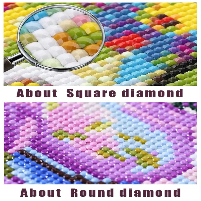 Kvadratiniu / apvalus deimantas tapybos gyvūnų kryželiu diamond mozaikos 3d deimantų meno apdaila 1