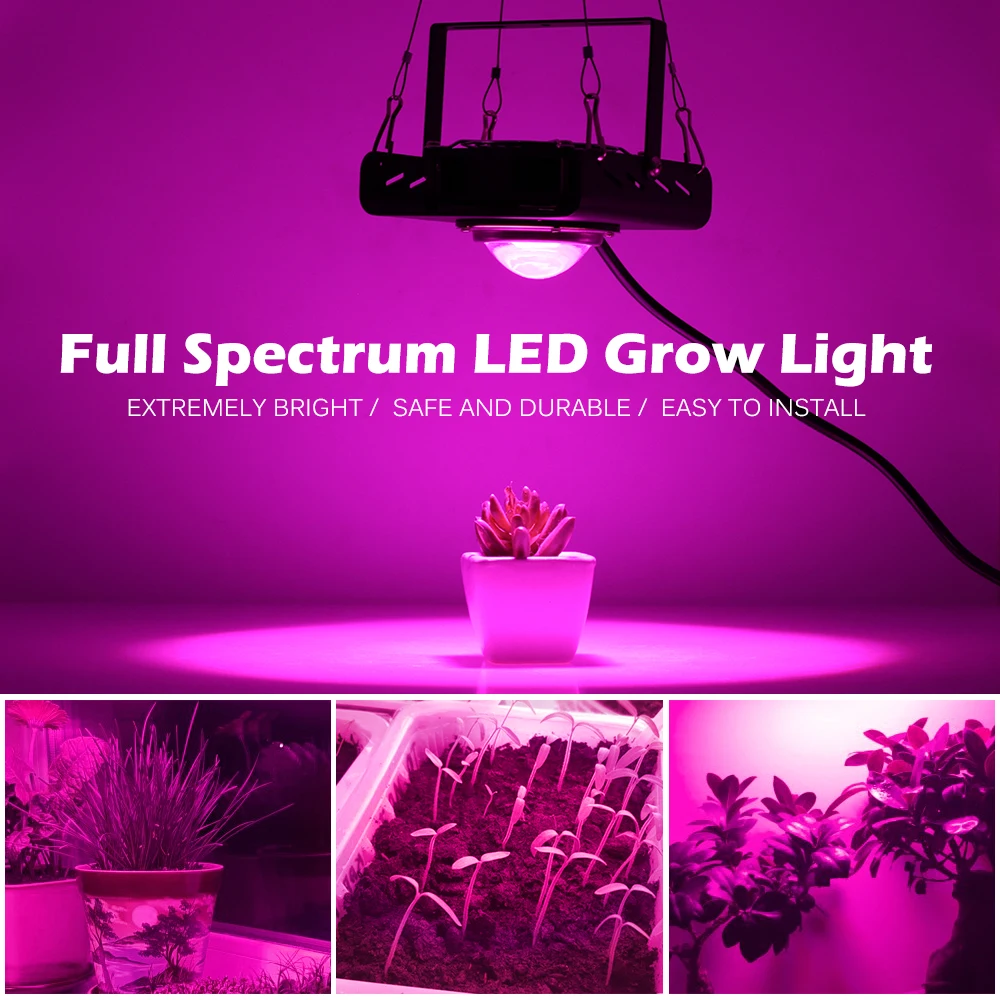 500W COB LED Grow Light 220V Visą Spektrą Su Aušinimo ventiliatorius Hydroponic Šiltnamio efektą sukeliančių Augalų Augimo Apšvietimas 2