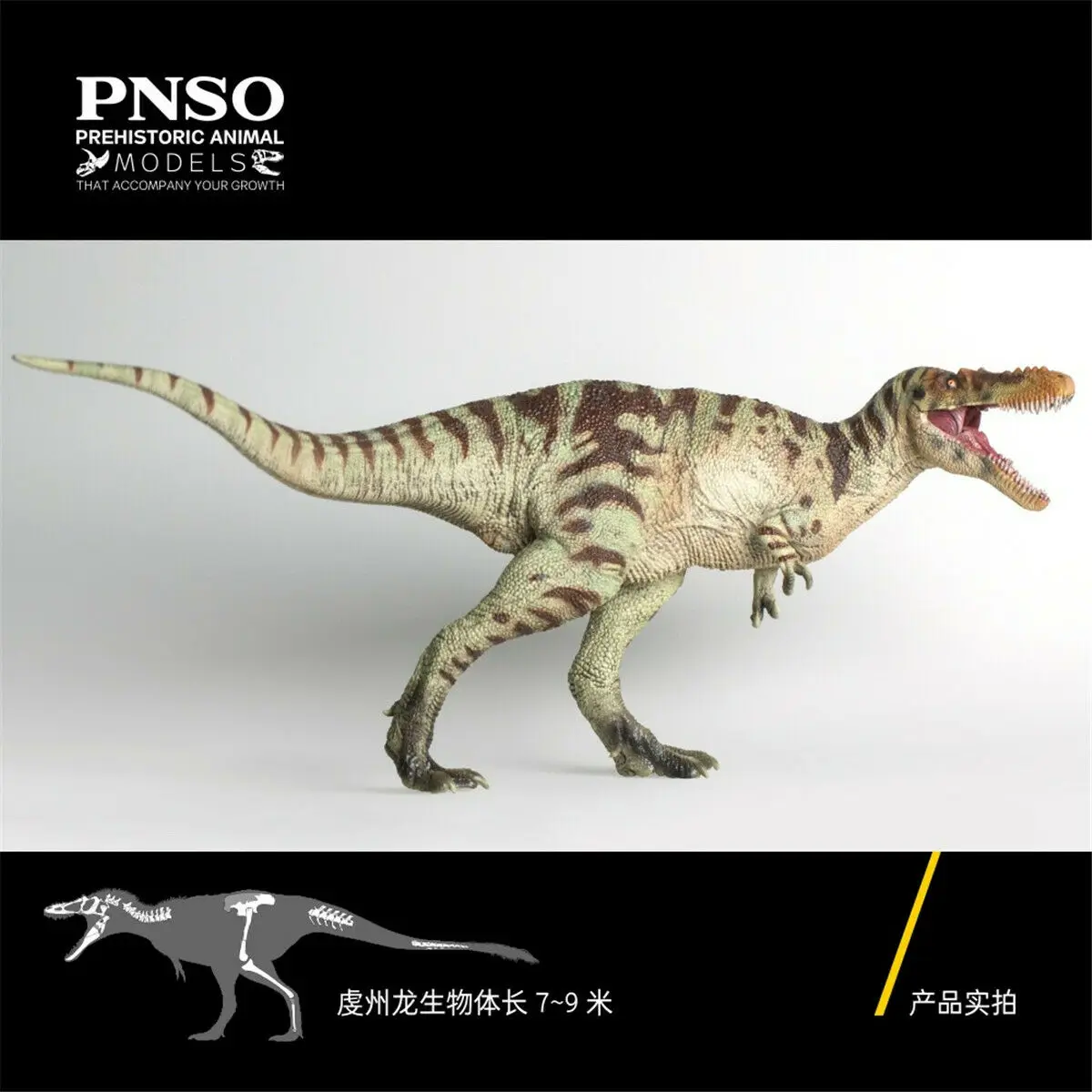 PNSO Qianzhousaurus Sinensis A-shu Pav Tyrannosauridae Dinozaurų Rinktuvas T-Rex Gyvūnų Suaugusiems, Vaikams, Žaislas, Kalėdų, Gimtadienio Dovana 2