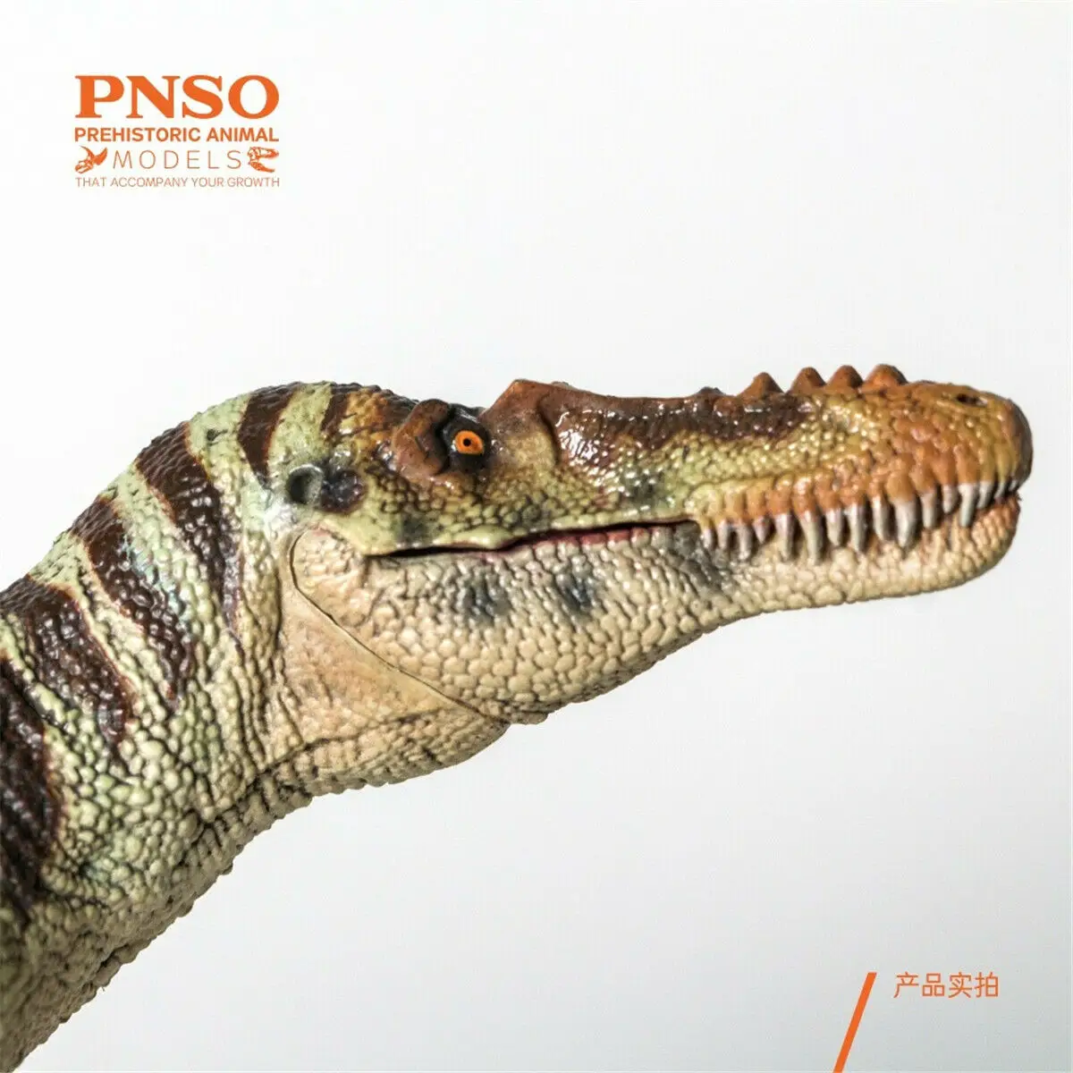PNSO Qianzhousaurus Sinensis A-shu Pav Tyrannosauridae Dinozaurų Rinktuvas T-Rex Gyvūnų Suaugusiems, Vaikams, Žaislas, Kalėdų, Gimtadienio Dovana 4