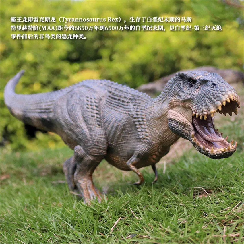 37CM Dinozaurų Modelis Žaislas Super Tyrannosaurus Rex Plastikinės Lėlės Tyrannosaurus Juros periodo Dinozauras, Žaislai Vaikams 3