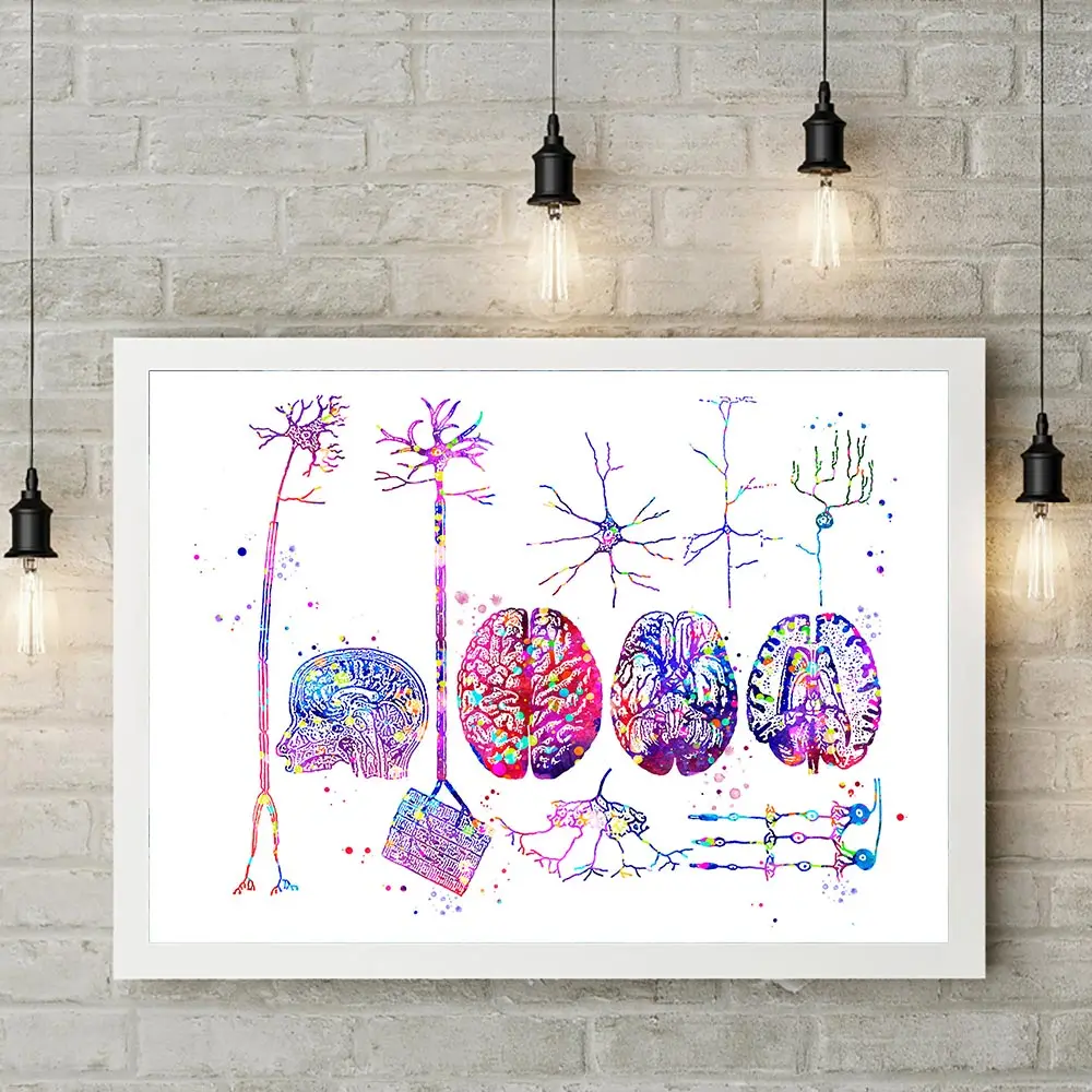 Sienos menas modulinės smegenų nuotrauką drobė nervų sistemos, namų puošybai anatomijos plakatas neuronų kambarį frameless tapyba 2